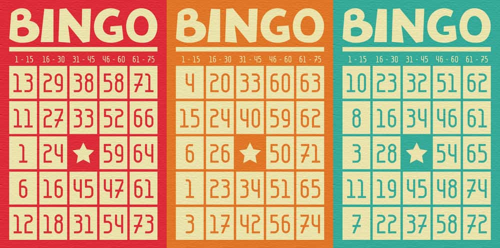 bingo net